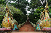 Northern Route: 10 วัน 9 คืน 6 จังหวัด เหนือตอนบน