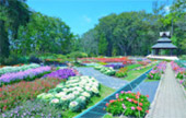Northern Route: 10 วัน 9 คืน 6 จังหวัด เหนือตอนบน