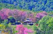 Northern Route: 10 วัน 9 คืน 6 จังหวัด เหนือตอนบน