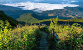 Northern Route: 10 วัน 9 คืน 6 จังหวัด เหนือตอนบน