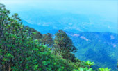 Northern Route: 10 วัน 9 คืน 6 จังหวัด เหนือตอนบน