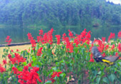 Northern Route: 10 วัน 9 คืน 6 จังหวัด เหนือตอนบน