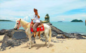 หาดใหญ่ - ปีนัง 3 วัน 2 คืน