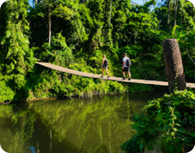 เขาใหญ่ 4 วัน 3 คืน Nature Experience