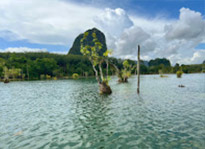 ทัวร์วันเดียว คลองจูราสสิค คลองรูท ซาฟารี ทัวร์วันเดียว คลองจูราสสิค คลองรูท ซาฟารี