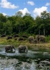 ซาฟารีสัตว์ป่ากุยบุรี