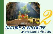 Sam Roi Yot Nature & Wildlife Journey