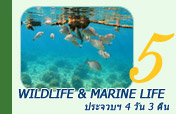 Wildlife & Marine Life 4 วัน 3 คืน