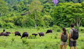 กุยบุรี