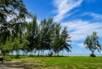 วนอุทยานปราณบุรีและปากน้ำปราณ
