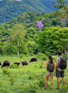 กุยบุรี