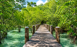 รีสอร์ทเพียงแห่งเดียว Wa Ale Resort
