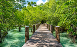 รีสอร์ทเพียงแห่งเดียว Wa Ale Resort