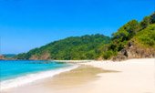 เกาะส่วนตัว Ale Island