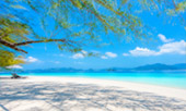 เกาะส่วนตัว Ale Island