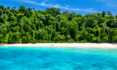 เกาะส่วนตัว Ale Island