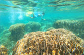 Explore Swim Kayak Relax