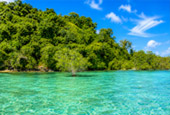 Snorkeling and Beach Activities