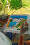 Yao-Yai islanders ทัวร์รอบเกาะยาวใหญ่ จากภูเก็ต Yao-Yai islanders ทัวร์รอบเกาะยาวใหญ่ จากภูเก็ต