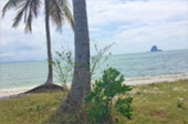 Yao-Yai islanders ทัวร์รอบเกาะยาวใหญ่ จากภูเก็ต Yao-Yai islanders ทัวร์รอบเกาะยาวใหญ่ จากภูเก็ต
